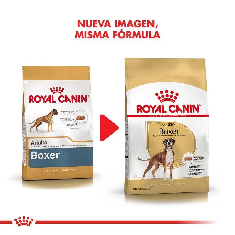 [RCP003] Royal Canin Boxer Adulto X 12Kg