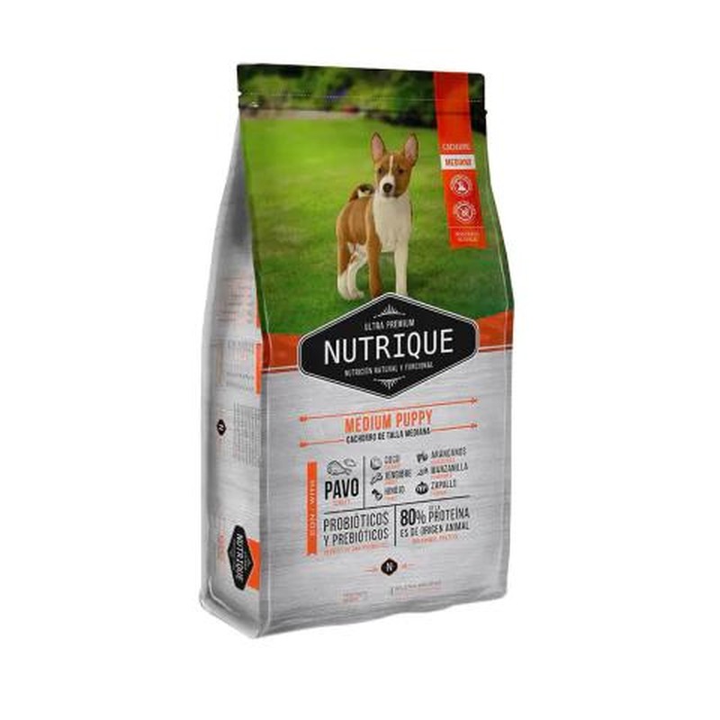[VIT121] Nutrique Large Puppy X 15Kg